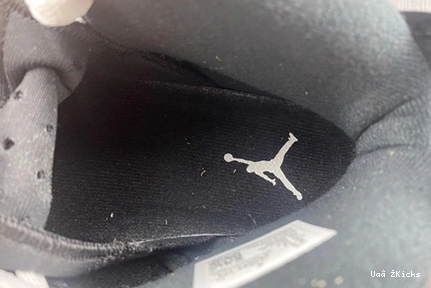 619 6 Jordan NewStyle Retro Oreo 384664-101 1102